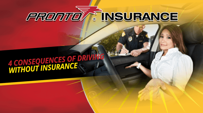 What are the consequences of driving without car insurance in California?