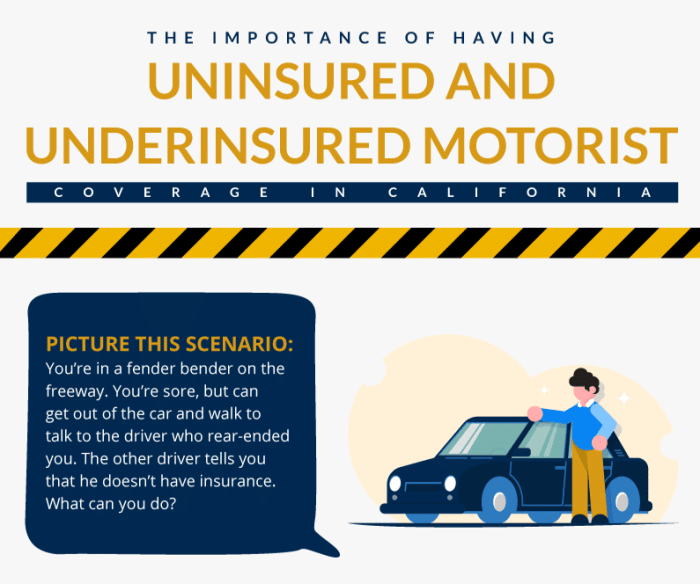 Uninsured coverage motorist underinsured injury bodily liability wilk