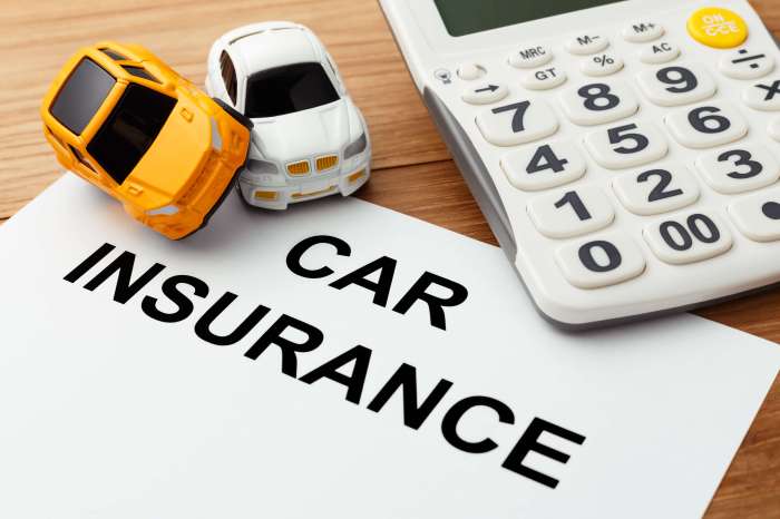 Car versus insurance important which