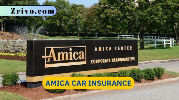 Amica car insurance comparison with other providers