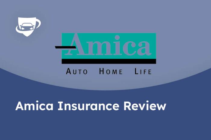 Amica car insurance for drivers with multiple vehicles