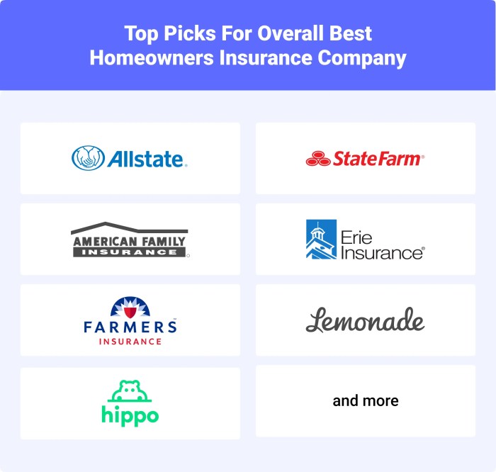 Best home insurance companies for homeowners in high-risk areas