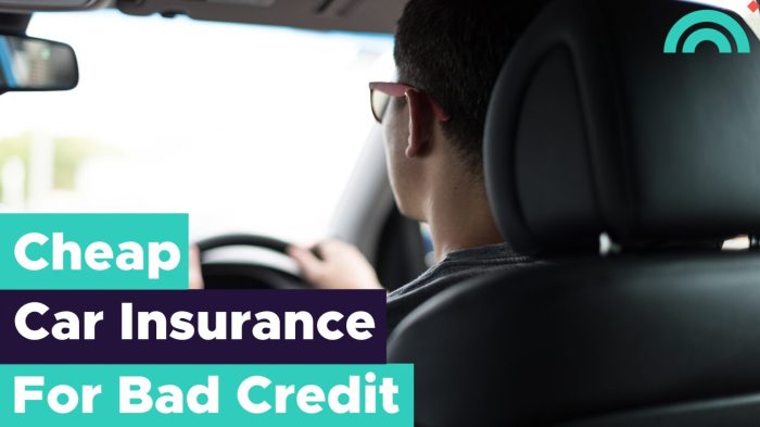 Best car insurance providers for people with bad credit