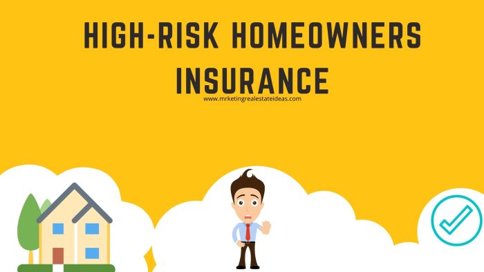 Best home insurance companies for homeowners in high-risk areas