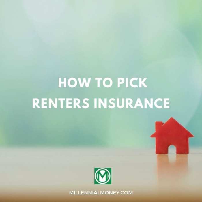 Best home insurance companies for renters