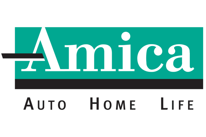 Amica