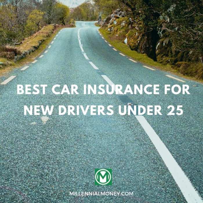 Best car insurance providers for people who drive a little