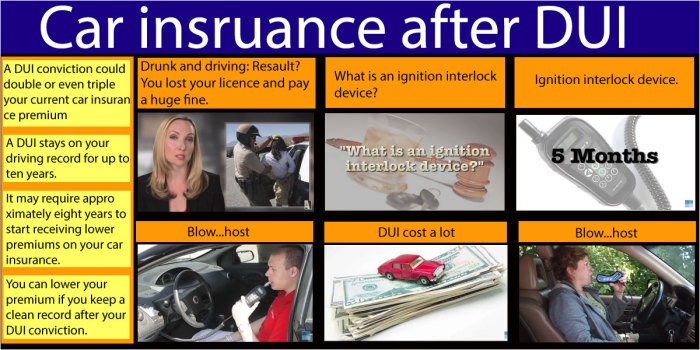 What is the best car insurance for someone with a DUI