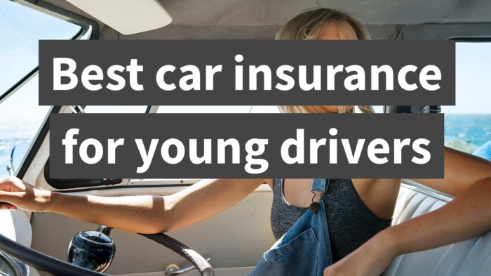 Amica car insurance for young drivers with good driving records