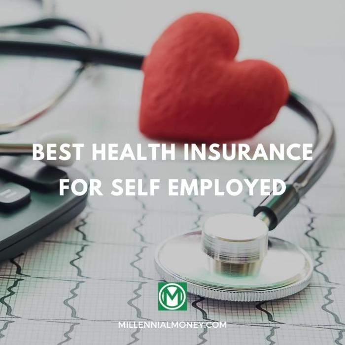 What is the best insurance for people who are self-employed?