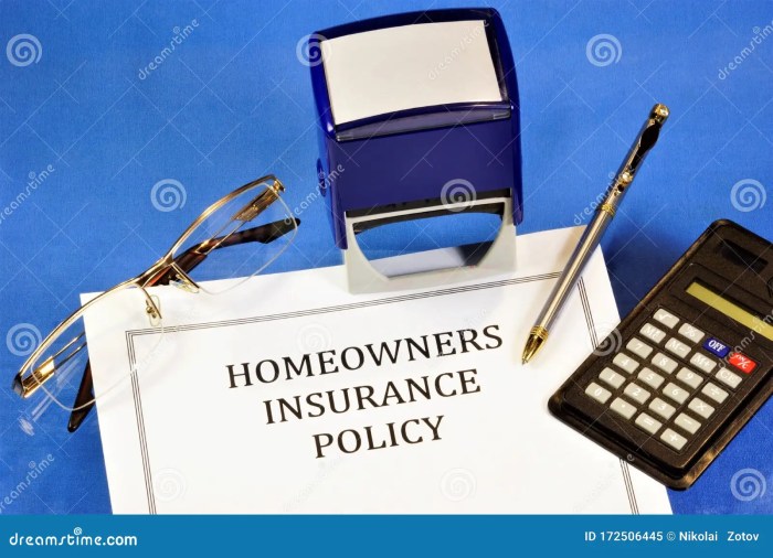 Insurance risk homeowners factors